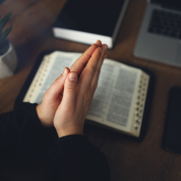 Drawn to Jesus: From Brokenness to Belonging